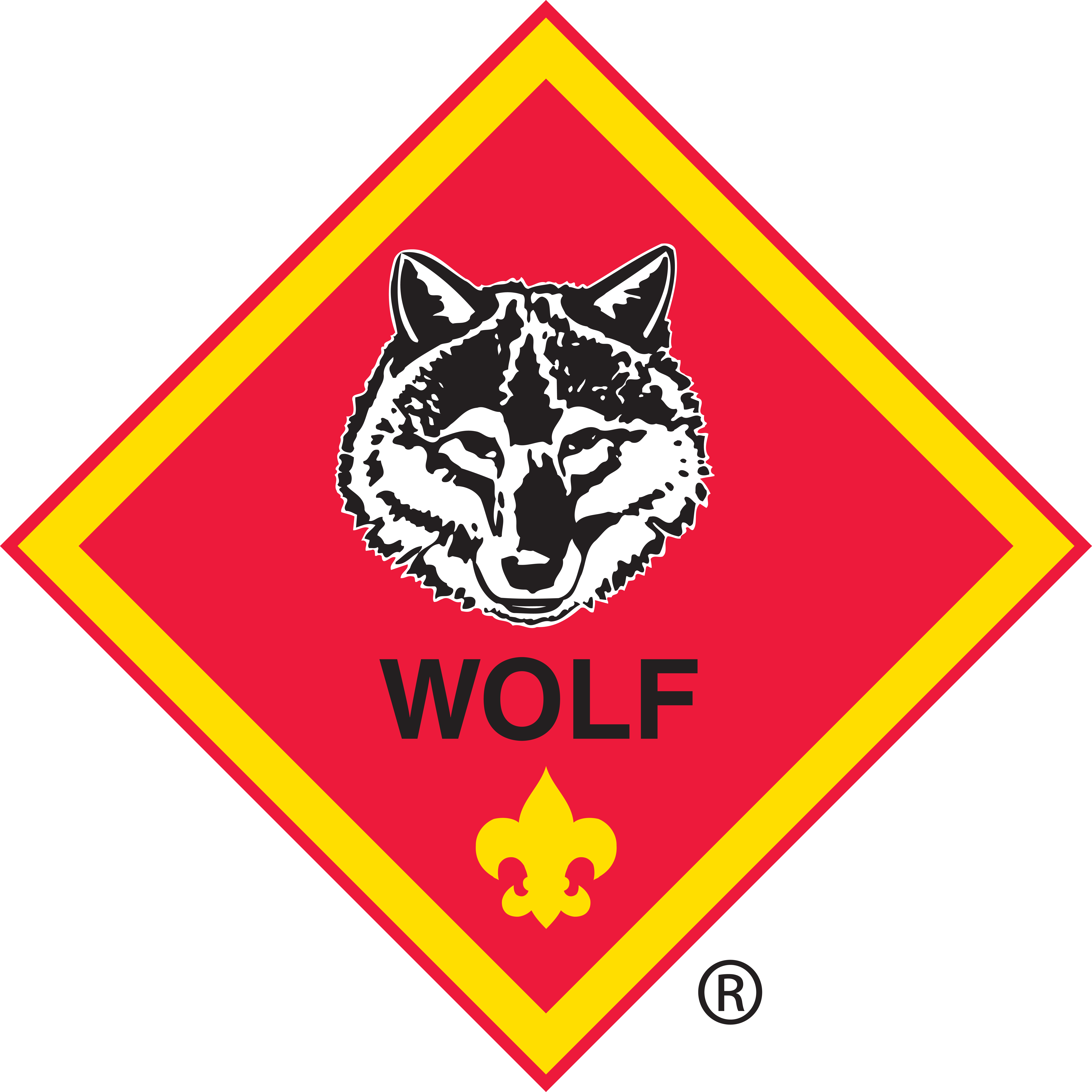 Cub Scout Wolf Advancement Chart